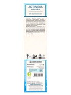 Актинидия коломикта (Серия Северный Сад) Доктор Шимановски - фото 42075559