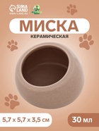 Миска для грызунов, 30 мл, 5.7×5.7×3.5 см, со скошенным краем, керамика, серая - Фото 1