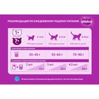 УЦЕНКА Сухой корм Whiskas для кошек, лосось, подушечки, 5 кг (годен до 10.07.25) - Фото 4