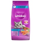 УЦЕНКА Сухой корм Whiskas для кошек, лосось, подушечки, 5 кг (годен до 10.07.25) - Фото 6