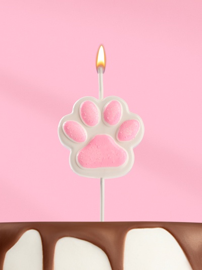 Свеча для торта на шпажке «Лапка - сквиш», бело-розовая