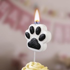 Свеча для торта на шпажке «Лапка - сквиш», бело-черная - Фото 1