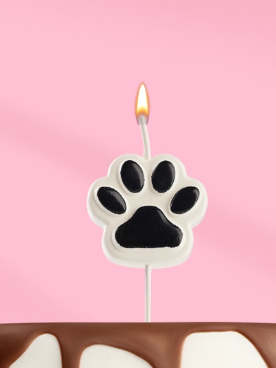 Свеча для торта на шпажке «Лапка - сквиш», бело-черная