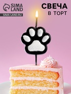 Свеча для торта на шпажке «Лапка - сквиш», черно-белая - Фото 1