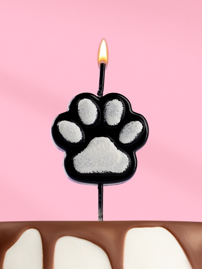 Свеча для торта на шпажке «Лапка - сквиш», черно-белая