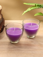 Свечи ароматические SCENTED CANDLE 100 г, набор 2 шт., лавандовые поля 10660095 - фото 16421089