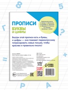 Книга «Прописи. Буквы и цифры», 24 стр. 9809007 - фото 16355683