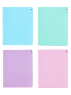 Тетрадь 96л кл ZEFIR COLORS, МИКС 10885823