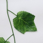 Лиана «Лист винограда», набор 12 шт., 2.3 м - Фото 2