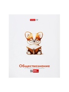 Набор предметных тетрадей Hatber «Я люблю учиться», 10 предметов, 24 листа, справочный материал, обложка из мелованной бумаги - Фото 13