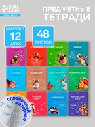 Набор предметных тетрадей Hatber «Мой любимый предмет», 12 предметов, 48 листов, со справочным материалом, обложка из мелованного картона - Фото 1