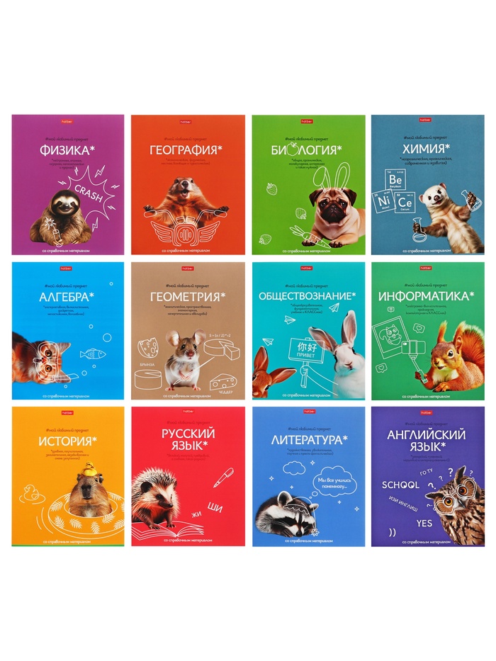 Набор предметных тетрадей Hatber «Мой любимый предмет», 12 предметов, 48 листов, со справочным материалом, обложка из мелованного картона - Фото 1