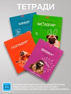 Набор предметных тетрадей Hatber «Мой любимый предмет», 12 предметов, 48 листов, со справочным материалом, обложка из мелованного картона - Фото 2