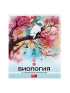 Набор предметных тетрадей Hatber «Искусство Азии», 12 предметов, 48 листов, со справочной информацией, пластиковая обложка - Фото 8