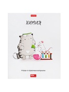 Набор предметных тетрадей Hatber «Приключения кота Пирожка», 12 предметов, 48 листов, со справочным материалом, обложка из мелованной бумаги, бл�... - Фото 4