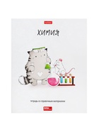 Набор предметных тетрадей Hatber «Приключения кота Пирожка», 12 предметов, 48 листов, со справочным материалом, обложка из мелованной бумаги - Фото 8