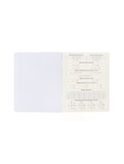 Предметная тетрадь по алгебре Hatber «Буквица», 48 листов, в клетку, со справочным материалом, обложка из мелованного картона (комплект 3 шт) - фото 65449750