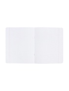 Предметная тетрадь по физике Hatber «Буквица», 48 листов, в клетку, со справочным материалом, обложка из мелованного картона, матовая ламинация,... - Фото 3