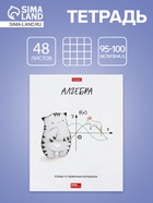 Предметная тетрадь по алгебре Hatber «Приключения кота Пирожка», 48 листов, в клетку, со справочным материалом, обложка из мелованной бумаги - Фото 1