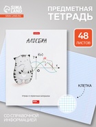 Предметная тетрадь по алгебре Hatber «Приключения кота Пирожка», 48 листов, в клетку, со справочным материалом, обложка из мелованной бумаги - Фото 1
