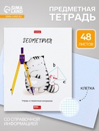 Предметная тетрадь по геометрии Hatber «Приключения кота Пирожка», 48 листов, в клетку, со справочным материалом, обложка из мелованной бумаги - Фото 1