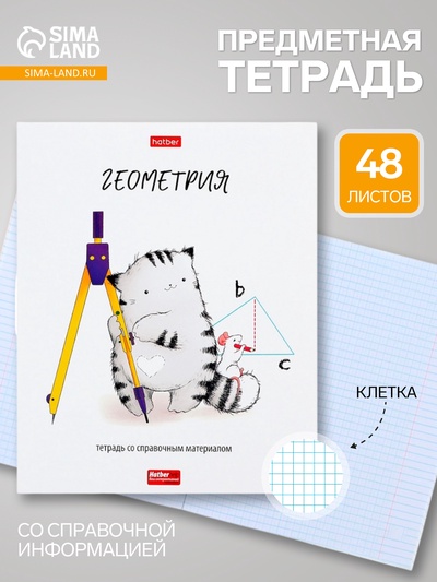 Предметная тетрадь по геометрии Hatber «Приключения кота Пирожка», 48 листов, в клетку, со справочным материалом, обложка из мелованной бумаги