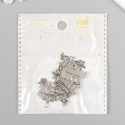 Металлический элемент, декоративная подвеска «Королева» набор 5 шт 2,5х2,5 см - фото 809159767