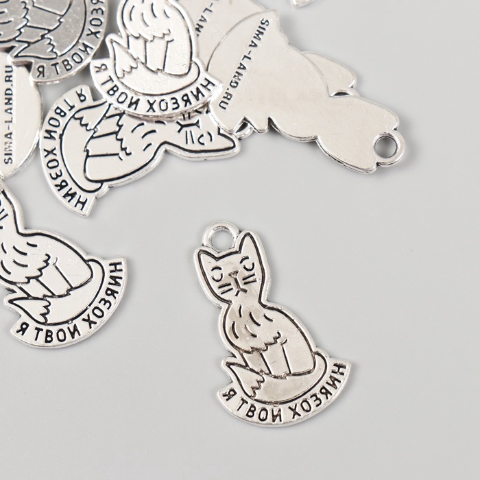 Металлический элемент, декоративная подвеска «Котик: Я твой хозяин», набор 10 шт., 1.6×2.5 см