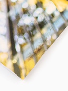 УЦЕНКА Альбом для рисования на скрепке, 40 листов МИКС - Фото 33