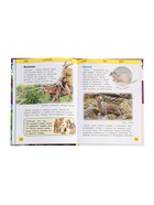 Детская энциклопедия «Дикие животные», 48 стр. - Фото 3