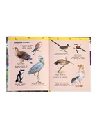 Детская энциклопедия «Дикие животные», 48 стр. - Фото 4