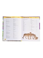 Детская энциклопедия «Дикие животные», 48 стр. - Фото 5