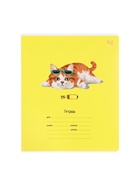 Тетрадь 12 листов в клетку «Кошечки», МИКС 10885635 - фото 14594018