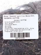 Флокс «Даниэль» корневище в пакете с торфогрунтом, р-р I, 2 шт. 10475788 - фото 16355857