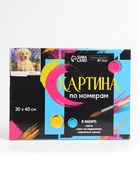 УЦЕНКА Картина по номерам на холсте с подрамником «Щенок лабрадора», 40×30 см - Фото 7
