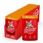 Влажный корм DARLING для кошек, курица в подливе, 26х75г 9212957 - фото 16504004