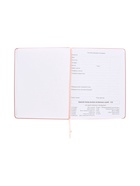 Дневник школьный 1-11 класс, deVENTE. Karma, искусственная кожа, шелкография - Фото 4