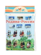 Игра-конструктор "Родина Россия", 112 деталей,  2 планшета LIP1394 10885362 - фото 16396328