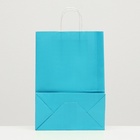 Пакет крафт лазурный , 25 х 10,5 х 31,5 см (комплект 9 шт) - фото 41520098