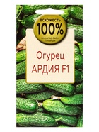 Семена Огурец Ардия F1, «Всхожесть 100%», партенокарпический гибрид, 5 шт. - Фото 1