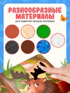 Книга детская тактильная «Кто живёт в лесу?», 12 стр., 7 вставок - Фото 3