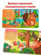 Книга детская тактильная «Кто живёт в лесу?», 12 стр., 7 вставок - Фото 8