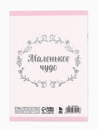 Сертификат о профилактических прививках А6, 24 страницы 10.5×14.8 см «Зайчик» 10879914 - фото 5063016