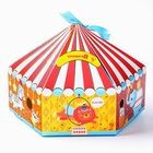 УЦЕНКА Развивающие тактильные мячики «Цирк», с пищалкой, в наборе 9 шт., Крошка Я 10890936