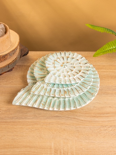 Набор сувенирный «Ракушки», 30 см, 22 см, 17 см, дерево, бирюзовый