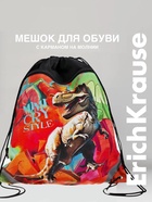 Мешок для обуви ErichKrause на шнурке, с рисунком, размер 49×0.5×41 см, разноцветный - Фото 1