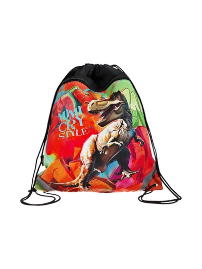 Мешок для обуви ErichKrause на шнурке, с рисунком, размер 49×0.5×41 см, разноцветный