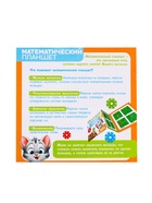 УЦЕНКА «Математический планшет: весёлые картинки» с инструкцией по схемам, МИКС, по методике Монтессори - Фото 8