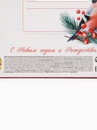 Подарочный набор «С Новым годом и Рождеством», гель для душа, шампунь и пена для ванны 3×250 мл, РЯБИНА 10872552 - фото 16523516
