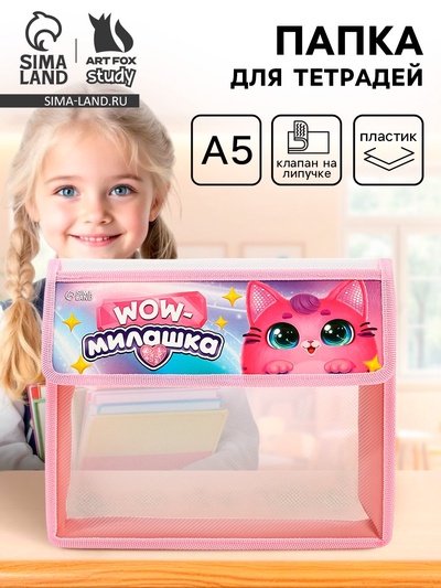 Папка для тетрадей, А5, пластиковая, 23×19×5 см